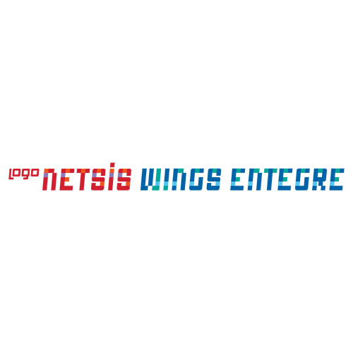 Logo Netsis Wings Entegre  
